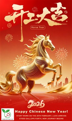 Meddelande om återupptagande av arbete efter CNY-semester